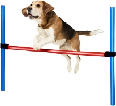 Obrázok produktu pre maxxpro Agility Spring Stick - Agility sada pre psov - 85 x 3 cm - Plast - Modrá/červená