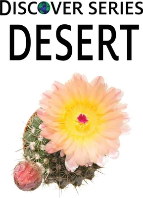 Produktbild von Desert