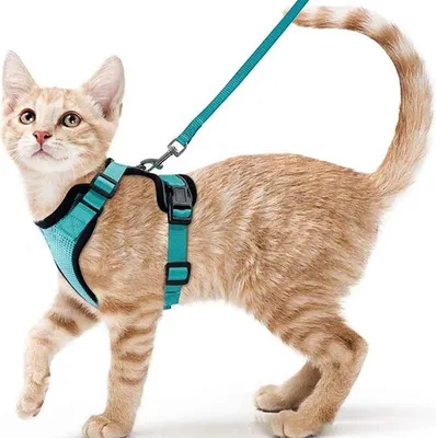 Produktbild von Atmungsaktives Katzengeschirr - Reflektierend & Ausbruchssicher, Auch für Kleine Hunde, Mit Leine S