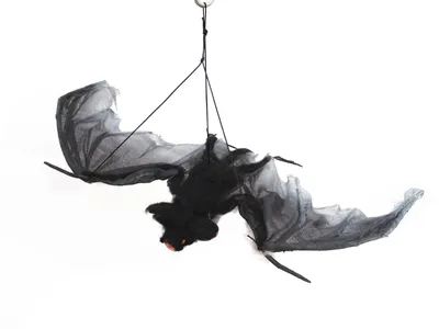 Produktbild von EUROPALMS Fledermaus, groß, Spannweite 120cm
