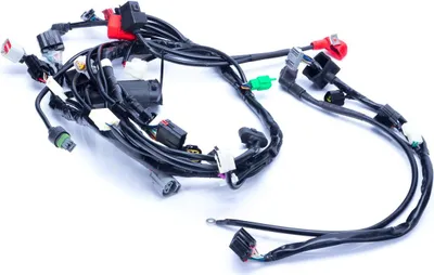 Zdjęcie produktu dla Wiązka elektryczna ADV250