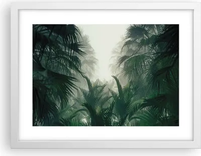 Produktbild von Gerahmtes Poster - Weißer Rahmen - Dschungel Blätter Palmen - 40x30 cm - Wand Bild - Wanddeko - Wandbilder - Kunstposter - Wandposter - Bilderrahmen - Bilder - Kunstdruck - P2WAA40x30-4504