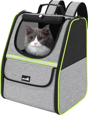 Produktbild von Rucksack für kleine Haustiere wie Katzen und Hunde, bis zu 6 kg, in Grau