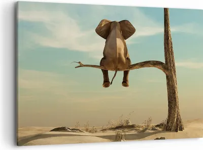 Produktbild von Bild auf Leinwand - Leinwandbild - Einteilig - Elefant sitzend Ast - 100x70cm - Wand Bild - Wanddeko - Wandbilder - Leinwanddruck - Bilder - Wanddekoration - Leinwand bilder - Wandbild - AA100x70-4557