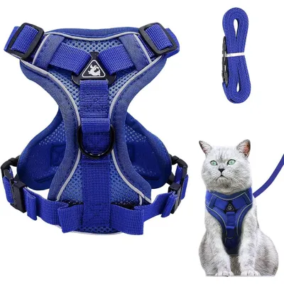 Produktbild von Katzengeschirr mit Leine Set Ausbruchsicher Mesh Tiefes Blau S