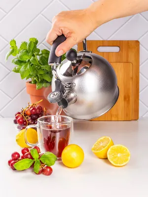 Produktbild von TRADITIONELLER WASSERKESSEL MIT PFEIFER für GASINDUKTION KAMILLE Stahl silber 2 l
