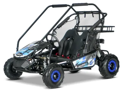Produktbild von Benzin-Kart für Kinder Beneo Motors BUGGY RSX XL Blau – 212 cm³