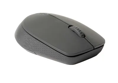 Produktbild von Rapoo M100 Silent, Beidhändig, Optisch, RF Wireless + Bluetooth, 1000 DPI, Grau