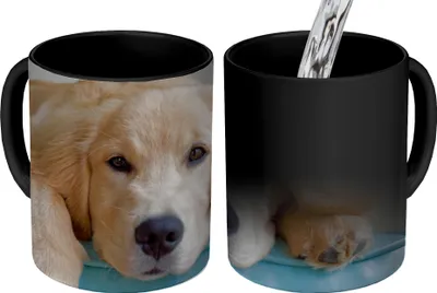 Obrázok produktu pre MuchoWow® Magický pohár Ležiaci zlatý retriever 350 ml Pohár na zmenu farby Darček Nápad na darček - Foto hrnček