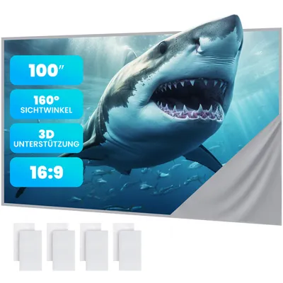 A projection screen displaying a shark image, with several white rectangular objects at the bottom.