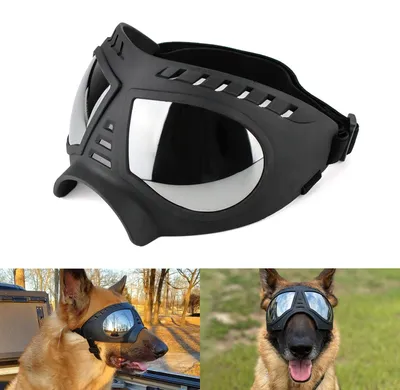 Produktbild von Hundesonnenbrille mit UV-Schutz, wasserdicht und winddicht