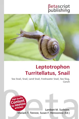 Produktbild von Leptotrophon turritellatus, Schnecke