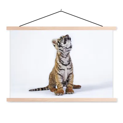 Produktbild von MuchoWow® Textilposter Tiger - Jungtier - Weiß 60x40 cm mit holzfarbenen Rahmen - Bilder