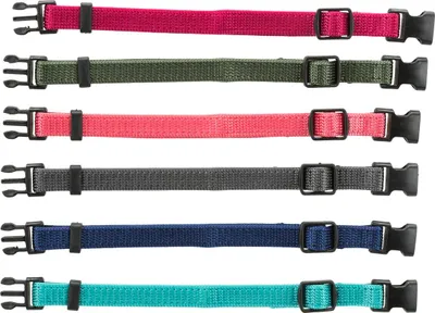 Image de Colliers pour chiots Junior 22–35 cm/10 mm fuchsia, graphite, indigo, vert forêt, noisette, océan
