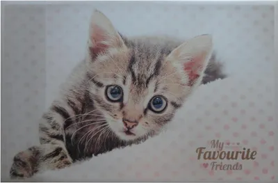 Produktbild von Schreibtischunterlage 38,5x58,5cm / mit Katze