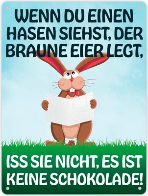 Produktbild von Wenn du einen Hasen siehst der braune Eier legt… Metallschild XL in 21x28 cm