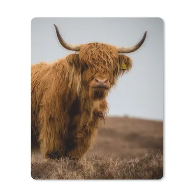 Produktbild von MuchoWow® Mauspad Mousepad Schottischer Highlander - Düne - Gras 30x40 cm - Mousepads - Maus Mat - Pad - Mausunterlage - Mausmatten