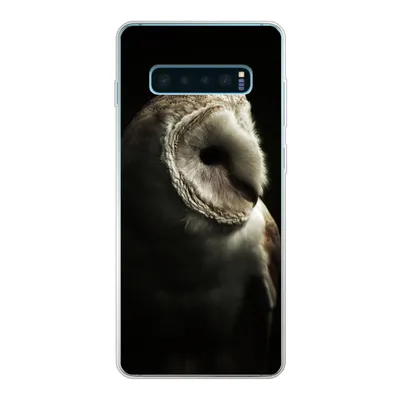 Produktbild von MuchoWow® Handyhülle Schutzhülle Hülle für Samsung Galaxy S10 Plus Eule - Vogel - Porträt Silikon Softcase Handy Hülle - Schutzhülle
