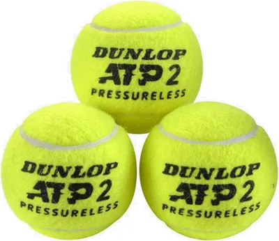 Produktbild von Bälle Dunlop Atp 601400