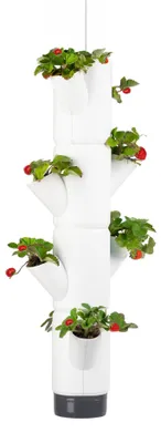 Obrázek produktu pro SISSI STRAWBERRY Závěsná jahodová věž bílá (4 úrovně) | Jahodové věže od Gusta Garden