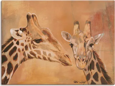 Produktbild von ARTland Leinwandbild Giraffen Größe: 60x45 cm