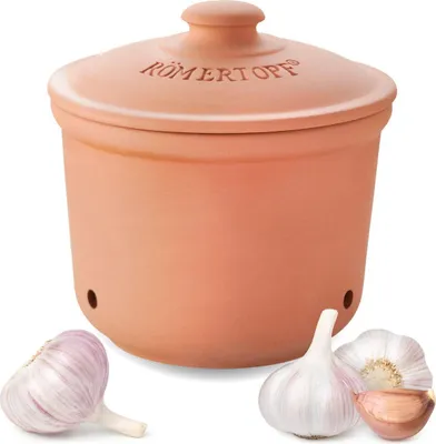 Produktbild von RÖMERTOPF Frische-Topf Mini terracotta 113592 4043891401811