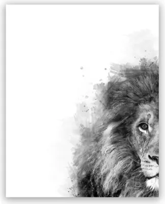 Produktbild von TPFLiving Kunstdruck LW-806 (OHNE RAHMEN) Poster - Leinwand - Wandbild - Hochauflösender Giclée-Druck, langlebig und hochwertig - Graues Löwenpaar vor weißem Hintergrund - Größe: 90x140cm