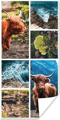 Produktbild von MuchoWow® Poster Schottische Highlander - Natur - Collage 60x120 cm - Wandschmuck