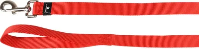 Image de Flamingo Laisse Ziggi rouge, dimensions : 200 cm / 25 mm