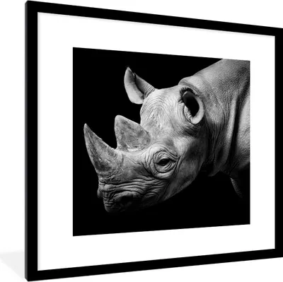 Produktbild von MuchoWow® Gerahmtes Poster Tiere - Nashorn - Schwarz - Weiß - Porträt 40x40 cm - Poster mit Schwarzem Bilderrahmen Wandposter Rahmen Foto Bilder - Poster - Plakat im Rahmen