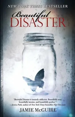 Image de Beautiful Disaster
