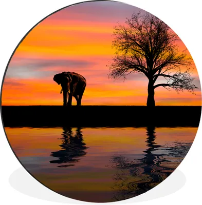 Produktbild von MuchoWow® - Wand Bild - Wohnzimmer - Runde Bilder - Alubilder - Kunst für zu Hause - Aluminium - Wanddekoration
