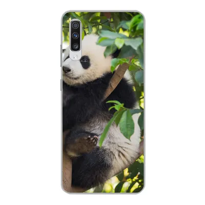 Produktbild von MuchoWow® Handyhülle Schutzhülle Hülle für Samsung Galaxy A70 Panda - Tier - Baum Silikon Softcase Handy Hülle - Schutzhaube