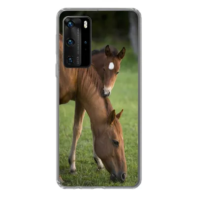 Produktbild von MuchoWow® Handyhülle Schutzhülle Hülle für Huawei P40 Pro Pferde - Gras - Porträt Silikon Softcase Handy Hülle - Schutz