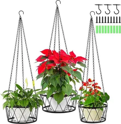 Produktbild von Schwarze Moderne Pflanzenhänger Set 3pcs