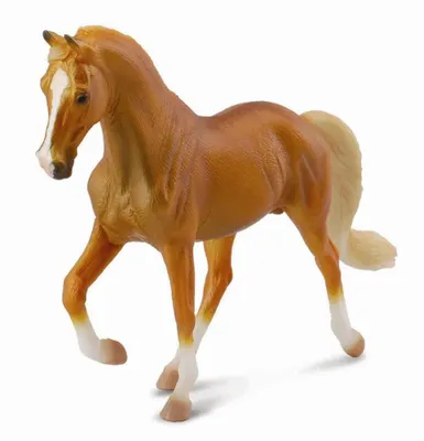 Produktbild von Tennessee Walking Horse, Isabella in Farbe