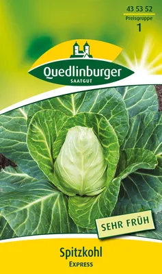 Produktbild von Quedlinburger Saatgut - Spitzkohl Express - Samen - 435352