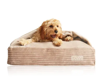 A small, fluffy dog is resting comfortably in a beige, corduroy dog bed.