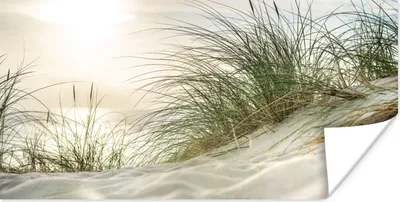 Produktbild von MuchoWow® Poster Dünen mit Strandhafer in der Sonne des Nationalparks Schleswig-Holsteinisches Wattenmeer 80x40 cm - Wanddeko