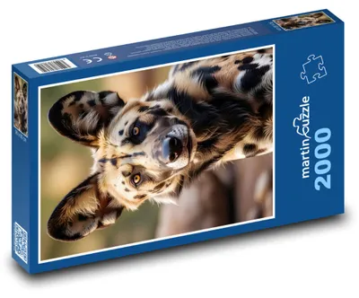 Zdjęcie produktu dla Puzzle 2000 Afrykański dziki pies w naturze - martinpuzzle