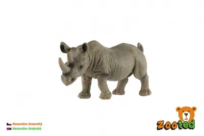 Produktbild von Zweihörniges Nashorn zooted