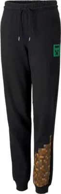 Produktbild von Puma Hosen X Minecraft Sweatpants, 53343701, Größe: 110