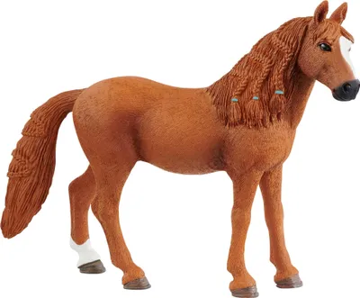 Obrázek produktu pro Klisna německého jezdeckého ponyho