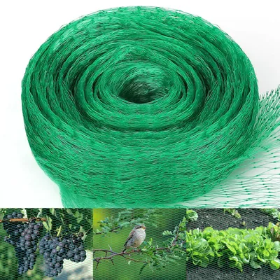Imagen del producto de Malla anti-pájaros de malla fina, 4 x 6 metros, color verde, para jardines y árboles frutales