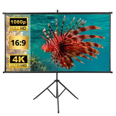 A projection screen with a lionfish image displayed on it, set up on a tripod stand.