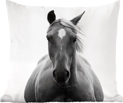 Produktbild von MuchoWow® Zierkissen Sofakissen Wohnzimmer Dekokissen 45x45 cm Pferd - Schwarz - Weiß - Porträt - Schlafpolster - Polster für das Sofa