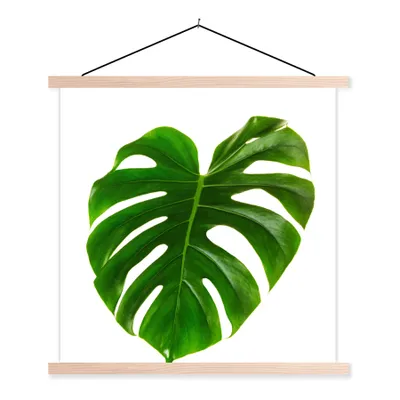 Produktbild von MuchoWow® Textilposter Großes botanisches Blatt auf weißem Hintergrund 120x120 cm mit holzfarbenen Rahmen - Textil-Poster