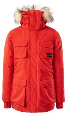 Produktbild von Herren-Daunenjacke TAAVO, IGUANA