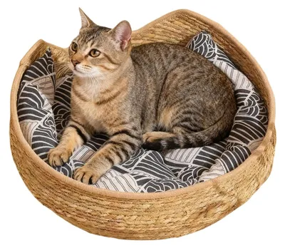 Image de Panier tressé pour chat avec coussin, pour intérieur