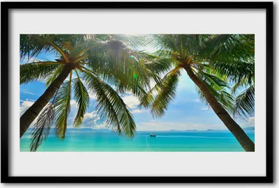 Produktbild von Bild 60x40 MDF-Rahmen Wandkunst Palme, Meer, Landschaft